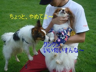 エルくん.jpg