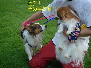 エルくん2.jpg