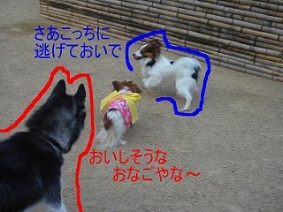 ティナちゃん.jpg
