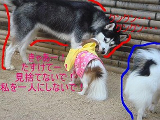 ティナちゃん2.jpg