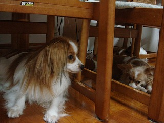 DSC01098.jpg