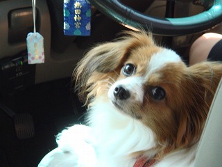 DSC01194.jpg