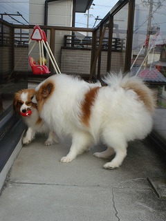 DSC01276.jpg