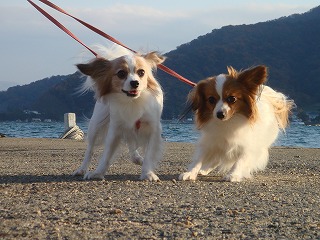 DSC03088.jpg