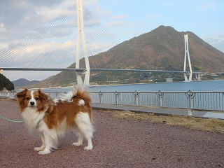 レッくん