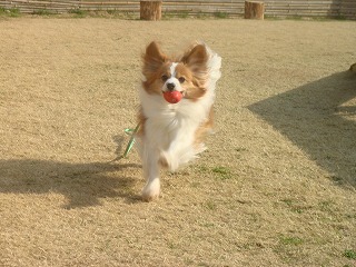 レッくん