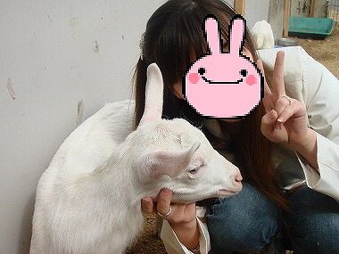 メグ&ヤギさん