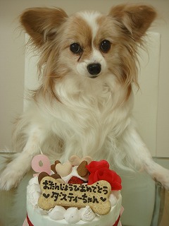 ダッちゃん