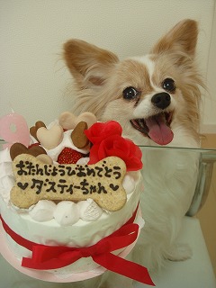 ダッちゃん