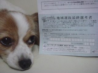 DSC00654.jpg